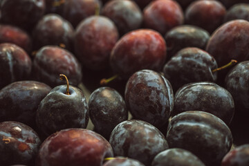 Fresh plums on the table, close-up