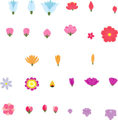 Colorful flower Hand Drawn Illustration Set