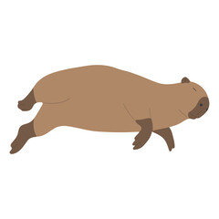 capybara single 30 on a white background, vector illustration.
