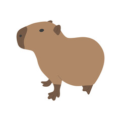 capybara single 35 on a white background, vector illustration.