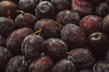 Fresh plums on the table, close-up