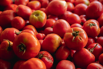 Fresh organic tomatoes, close-up