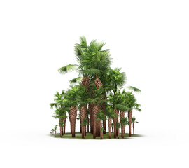 group of trees with a shadow on the ground, isolated on a white background, trees in the forest, 3D illustration, cg render