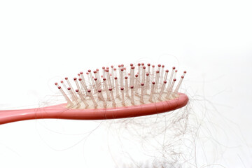 Hairs loss fall in comb on white background.