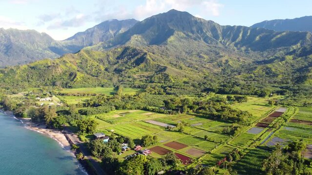 Cinematic Aerial shot of Hanalei Bay and green mountains, beach,  ocean with the Hanalei River  near Princeville, Kauai, Hawaii.