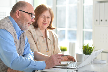 Fototapeta premium Two senior business people