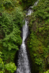 Path To Shepperd's Dell Falls