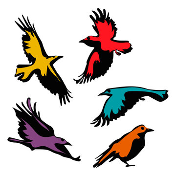 Silhouette of a crow in various poses flying, standing, sitting vector illustration, black and multicolored on a white background. A set in the style of Line art with raven figures for Halloween