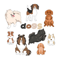 Eight cartoon dogs of different breeds and sizes. Funny animals on a white background. Vector illustration.