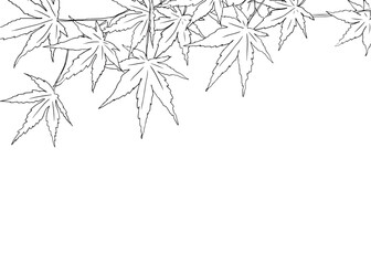 線で描かれた紅葉のイラスト