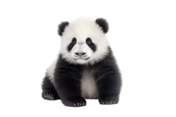 Fensteraufkleber Adorable Panda Cub on transparent Background, AI © Usmanify