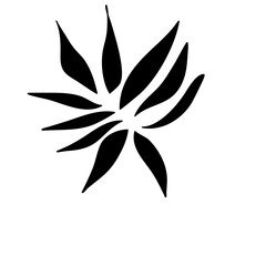 Set of leaves. Hand drawn decorative elements.