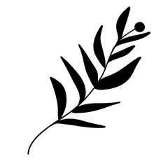 Set of leaves. Hand drawn decorative elements.