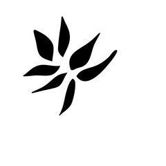 Set of leaves. Hand drawn decorative elements.