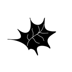 Set of leaves. Hand drawn decorative elements.