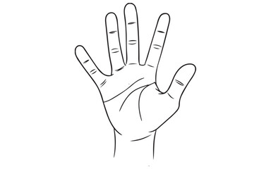 Hand Icons With Finger Count. Hand Gesture Symbols