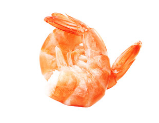 Shrimps isolated