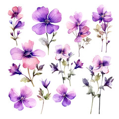 Obraz na płótnie Canvas Set of purple floral watecolor. flowers and leaves. Floral poster, invitation floral. Vector arrangements for greeting card or invitation design 