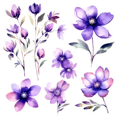 Naklejka na ściany i meble Set of purple floral watecolor. flowers and leaves. Floral poster, invitation floral. Vector arrangements for greeting card or invitation design 