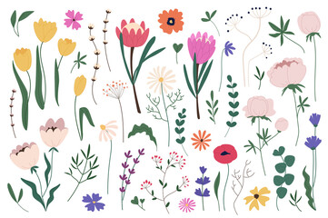 Flowers and herbs mega set graphic elements in flat design. Bundle of abstract wildflowers, peony, pop, tulip and other spring blossoms, wild plants with leaves. Illustration isolated objects