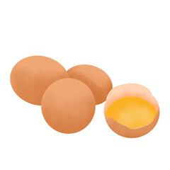 Chicken Egg Illustration