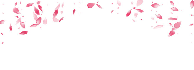 White Apple Petal Vector White Background. Pastel