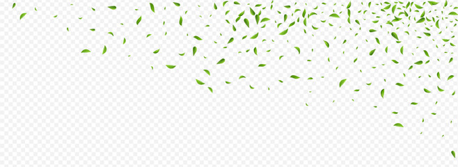 Forest Leaves Transparent Vector Panoramic