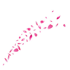 White Flower Petal Vector White Background. Color