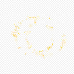 Beige Petal Tender Vector Transparent Background.