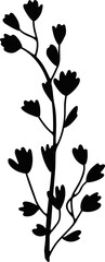 shadow flower flora blossom bloom art doodle