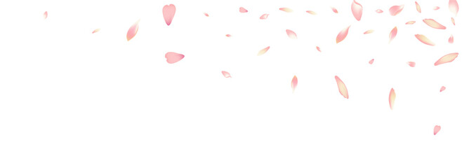 Transparent Lotus Petal Vector White Background.