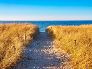 Footpath through dunes to the beach of the Baltic See in warm evening light