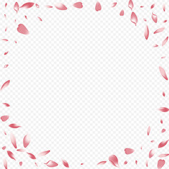 Color Lotus Vector Transparent Background.