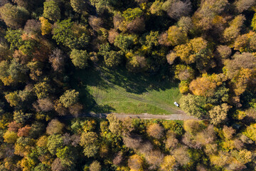 Aerial view of forest canopy in the autumn