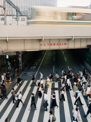 Pedestrian crossing and a train in Osaka, Japan