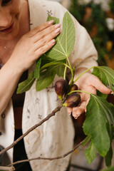 a woman plucks figs from a fig tree growing in a pot in the room