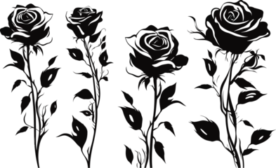 Deurstickers Aquarel doodshoofd Plant silhouette, black and white design, vector illustration, SVG, great for t-shirt, mug, birthday card, wall sticker, sticker, iron-on, scrapbooking,