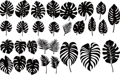 Plant silhouette, black and white design, vector illustration, SVG, great for t-shirt, mug, birthday card, wall sticker, sticker, iron-on, scrapbooking,