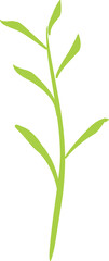 Green tea leaf 2023061909