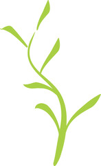 Green tea leaf 2023061910