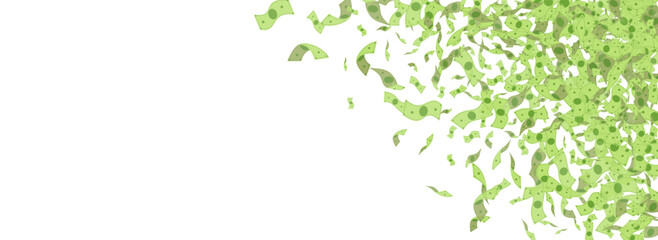 Paper Currency Vector White Panoramic Background.