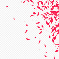 Beautiful Lotus Vector Transparent Background.