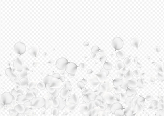 Delicate Peach Vector Transparent Background.