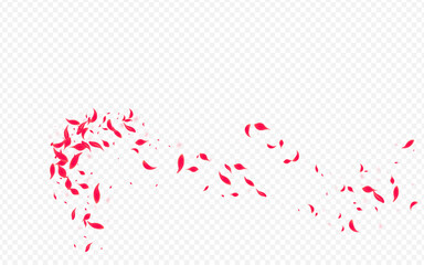 Delicate Sakura Vector Transparent Background.