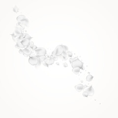 Pastel Blossom Vector Light Background. Snowy