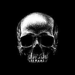 human skull hand drawing vector isolated on black background.