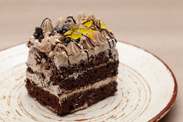 Close-up of a Delicious layered chocolate pastry. On a white plate. Front view.