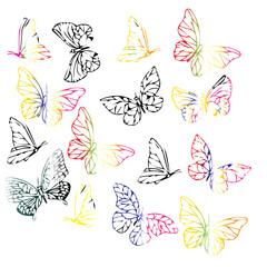 Fototapeta na wymiar set of butterflies with different colors