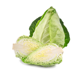 Fresh green pointed cabbage with slices isolated on transparent background. PNG