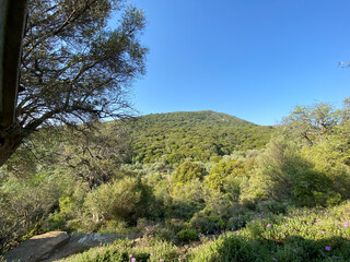 Rural landscape in spring from 'Zeytinliky' village of Gokceada Island, Canakkale, Turkey